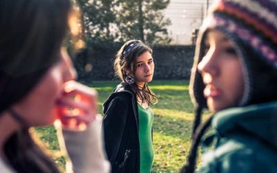 Middle School Climate & Learning – AERA research