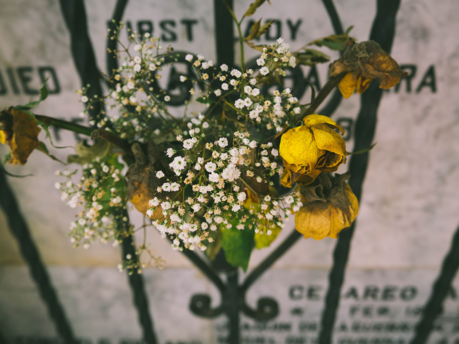 A Look That Spoke A Thousand Words | Noble Goals