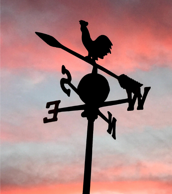 Feeling Overwhelmed? Harness Your True North