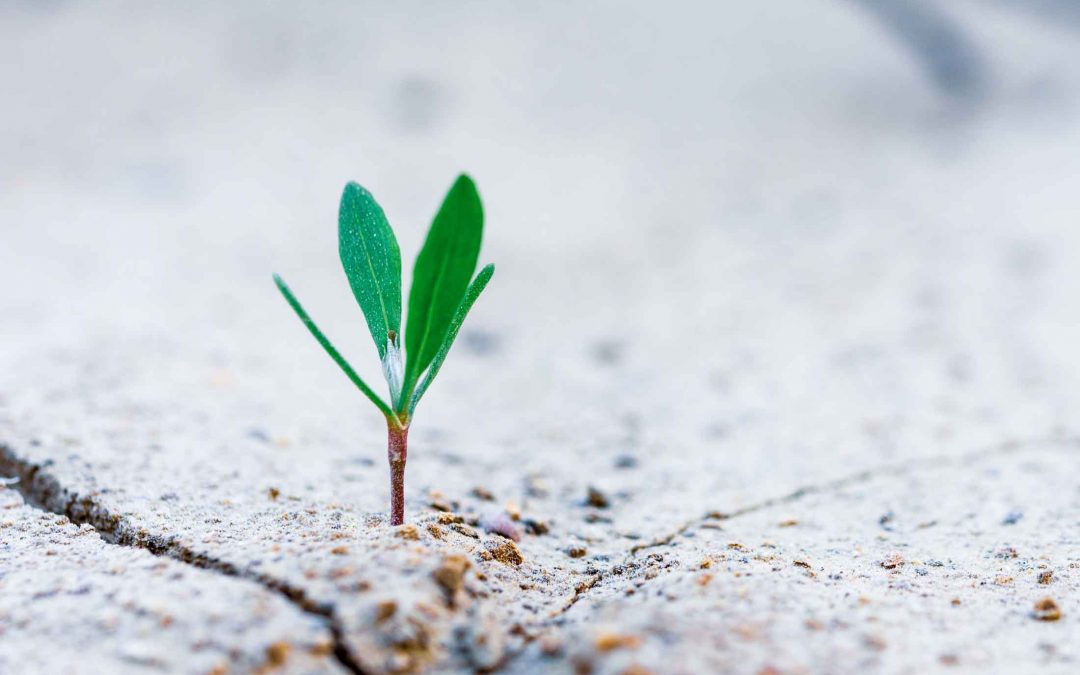 Emotional Intelligence for Positive Mental Health with 50+ Actions to Feel & Be Better