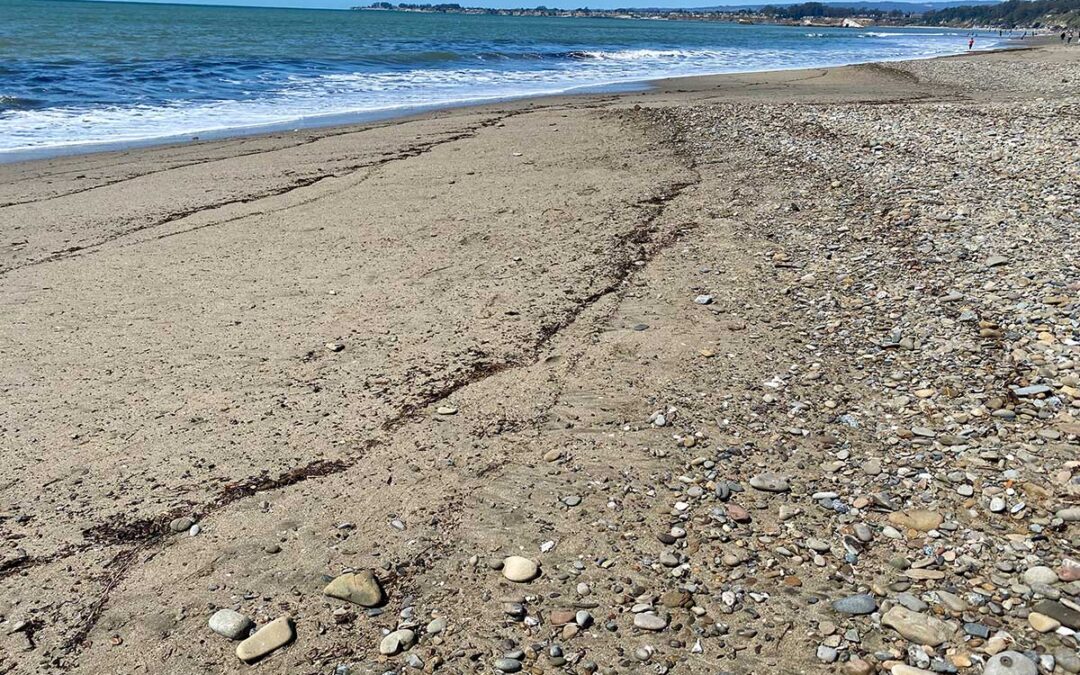 How Are You Feeling About Feelings? Coaching with Emotional Intelligence