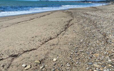 How Are You Feeling About Feelings? Coaching with Emotional Intelligence