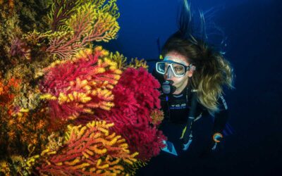 3 Neuroscience Tips to Coach Like a Vacation – Coaching with Emotional Intelligence